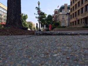 Street-level view of a city sidewalk and street. Trees and buildings line both sides, while people walk cautiously in the distance, mindful of what to know after a recent sidewalk accident. A lamppost stands tall under the clear blue sky.