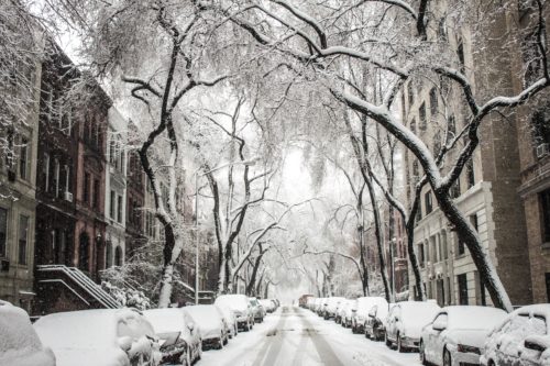 A snow-covered street in Washington D.C. is lined with parked cars and bare trees arching over the road. Buildings are coated with snow, creating a tranquil winter scene under a cloudy sky—an idyllic yet cautious reminder of potential snow and ice accidents.