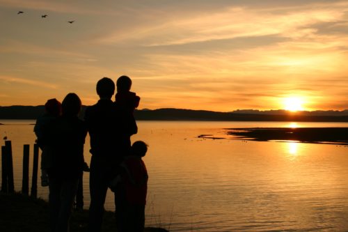 Silhouetted family of four stands by a serene lake near Washington D.C., watching a golden sunset. Birds fly in the sky, and the horizon glows warmly, reflecting on the tranquil water.