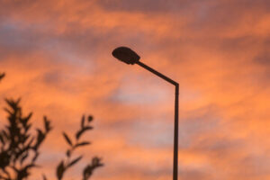 A streetlight stands against a dramatic orange and pink fall sunset sky in Washington D.C., with plant leaves silhouetted in the foreground, hinting at poor lighting as evening approaches.
